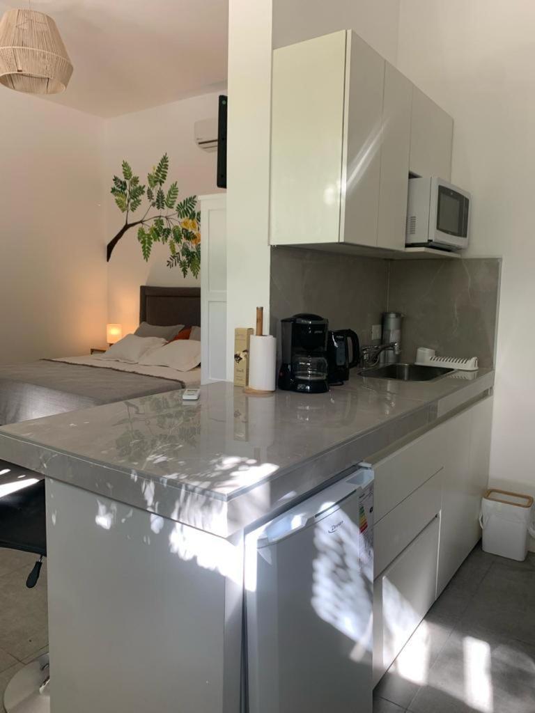Tipas Mini Loft Apartment Cafayate